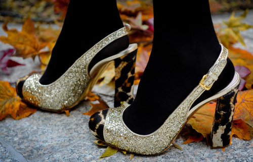 saks fifth avenue badgley mischka shoes