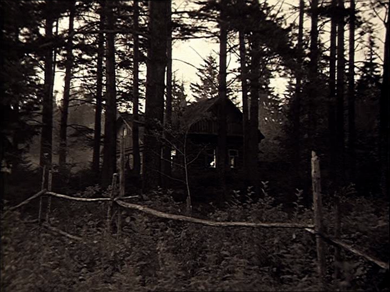 3:47 am | thefunerealwoods: Stills from Tarkovsky’s...
