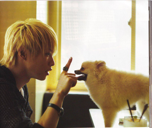 ponccoli:Mogu Hiroto’s Dog.Mogu is so cute ^^The gifs are...