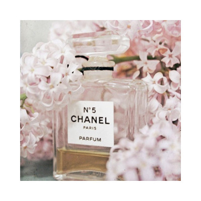 Chanel Perfume Tumblr