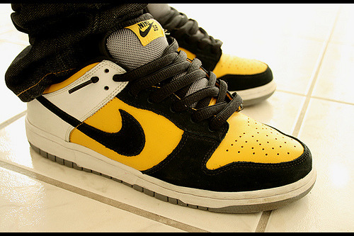 nike sb bic