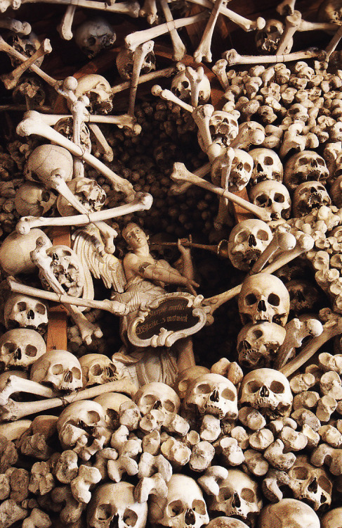 ritualknife:Scan from ‘The Empire of Death’ - Church of...