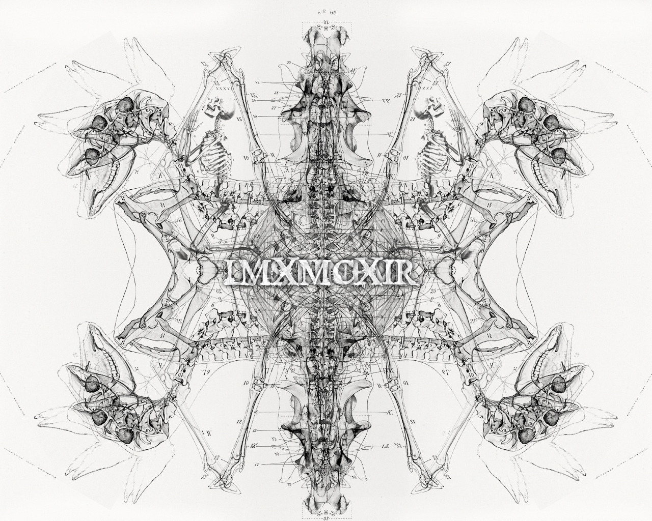 As Above So Below Lastinfur Mxmcxii As Above So Below Lastinfur Mxmcxii