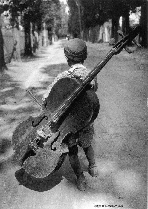 dawnatlast86:O'H HOW HE WOULD LOVE A VIOLIN