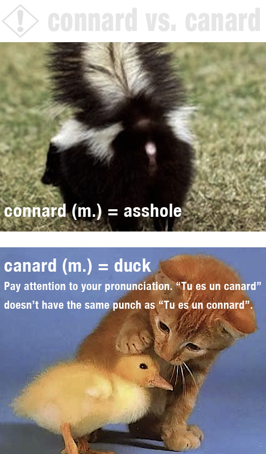 In french Asshole