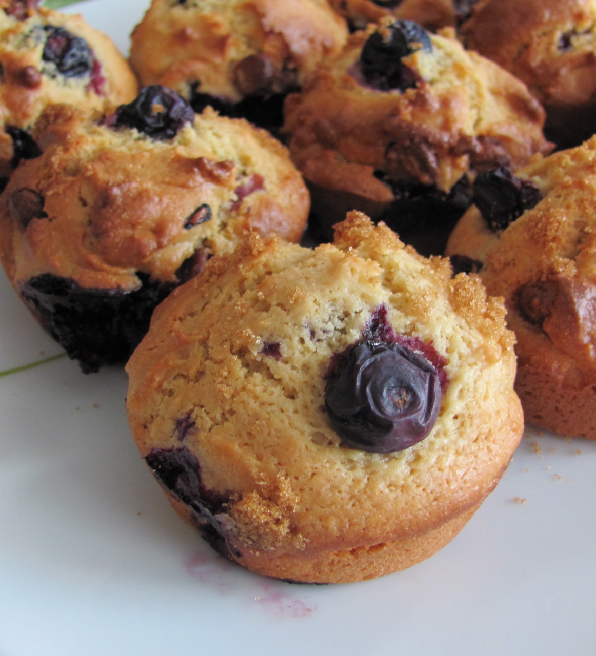 Muffins Aux Bleuets Et Au Chocolat Voici La...