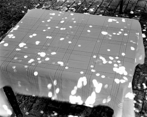 yama-bato:ABELARDO MORELLSunspots on Covered Table, 2000