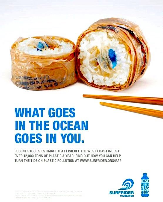 Collection 96+ Images what goes in the ocean goes in you Updated