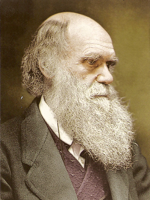 PinealGland, Charles Robert Darwin was an English naturalist....