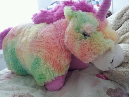 rainbow unicorn on Tumblr