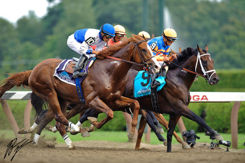 thoroughbred racing on Tumblr