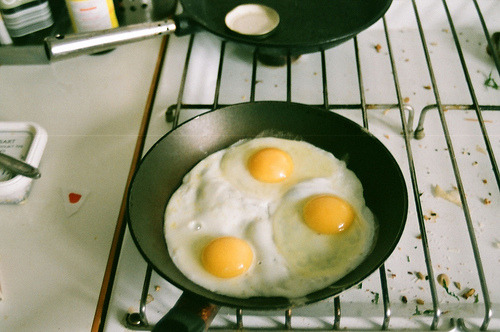 18augusts:eggs. (by ali+withers)