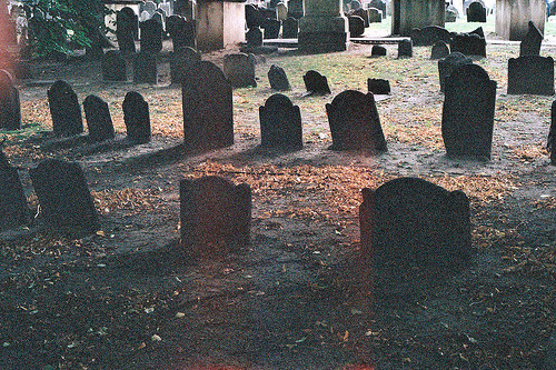 grave yard graves