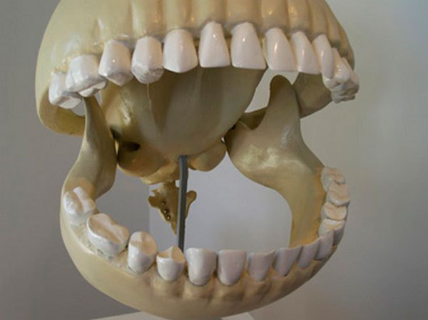 This Awesome Pac-man Skeleton Was Created By Le 