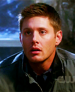tumblr_lzj4r82E891qevzsm.gif