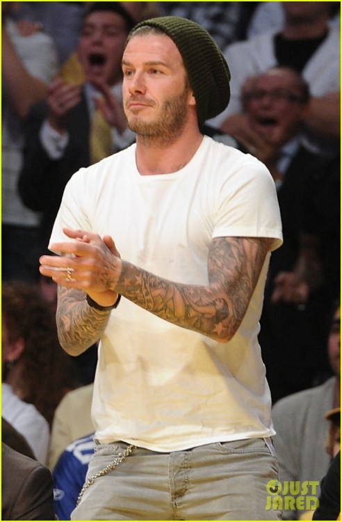 David Beckham Fansite