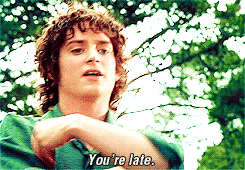 there's some good in this world, mr frodo, and it's worth fighting for (daniel) Tumblr_lzs8tfPQqQ1rn95k2o1_250
