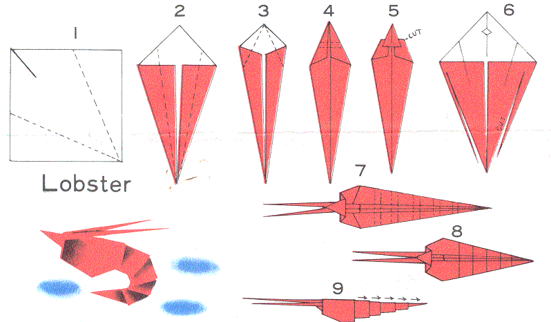 Origami Instructions: Photo