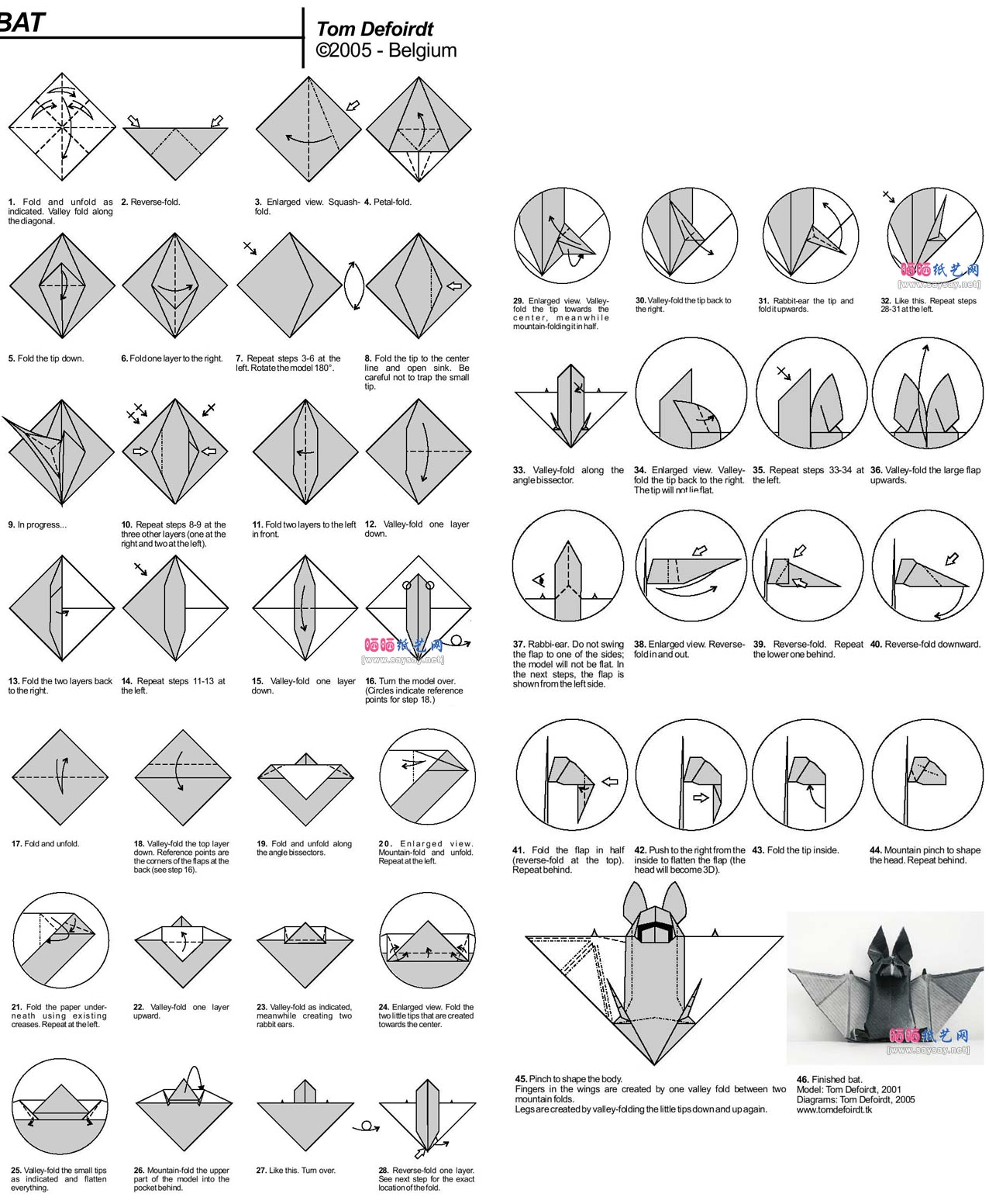 Origami Instructions Photo