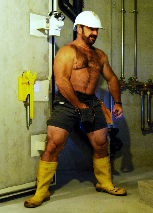 beargay7-blog:Daddy Muscle Gay - Hairy Men