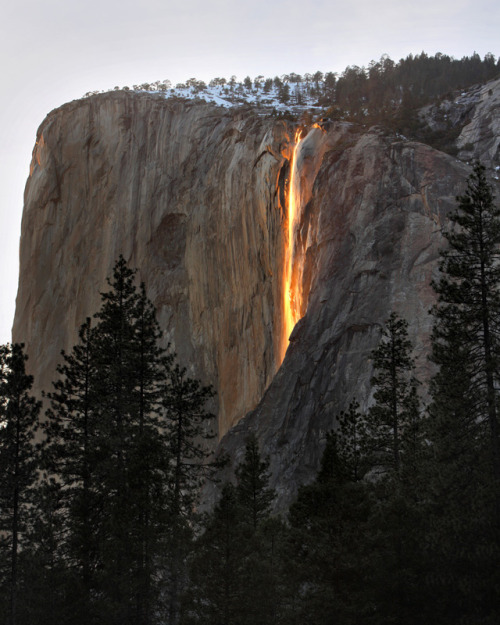 northwestaspirations:Horsetail Falls is a small seasonal...