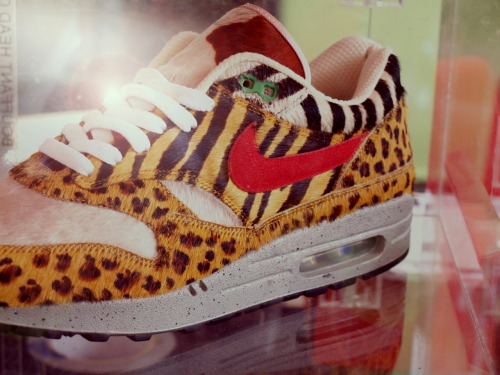 leopard air max 95