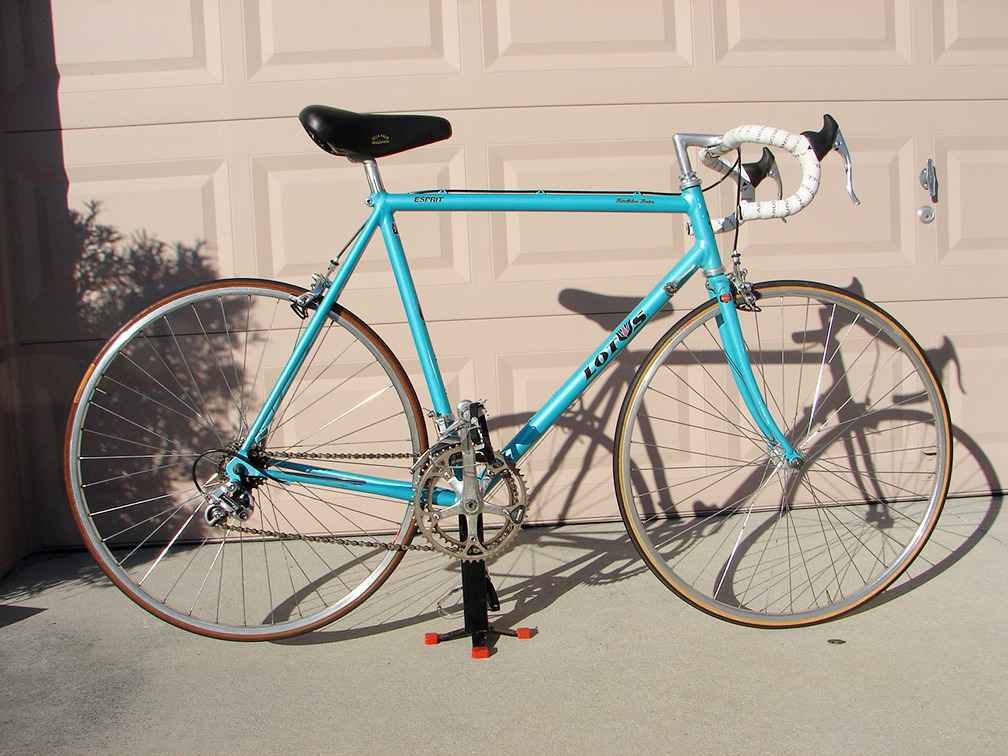 schwinn lotus 20