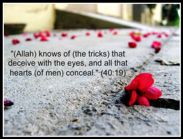 Allah The All Knowing Inspirational Islamic Quotes