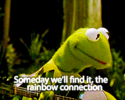 Animated Gif Rainbow Frog Meme - 10lilian