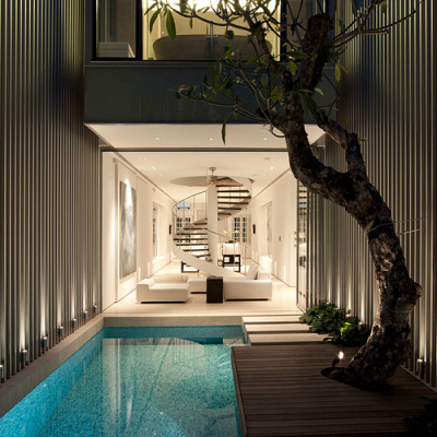 goodblogreads:<br />Tree and pool