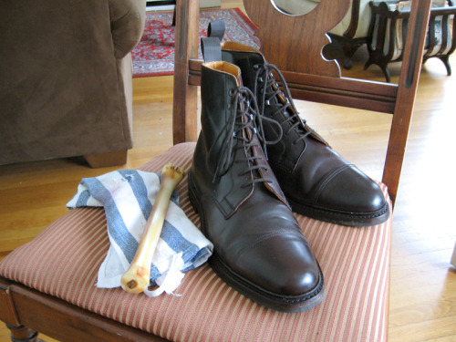 deer bone shoe care