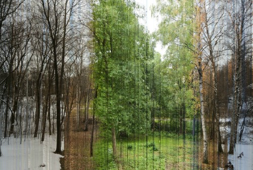 stop-hodoring:A picture in 365 slices. Each slice is one day...