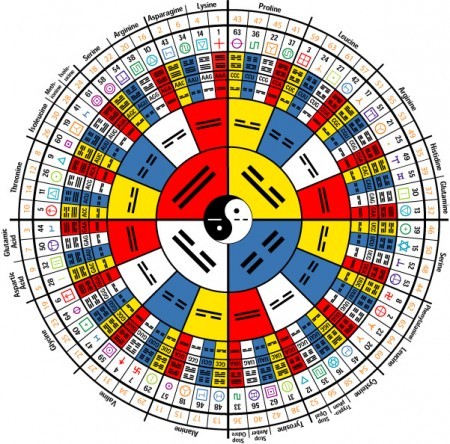 pebbles — 64 codons of the RNA to 64 hexagrams of the I...