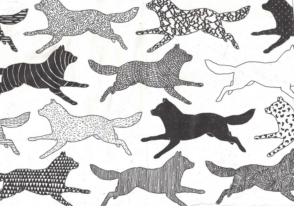 Some patterny wolves.Matthew Harris. Flickr. Tumblr. Cargo.
