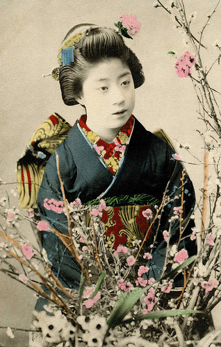 Maiko Yachiyo z gałęziami Plum Blossom (1900) „Yachiyo była słynną Geiko (Gejsza) z Osaki, uważaną za jedną z trzech Meigi (utalentowanych lub pięknych gejszy) z okresu Meiji (1868–1912).  Została Maiko (Geisha Apprentice) z ...