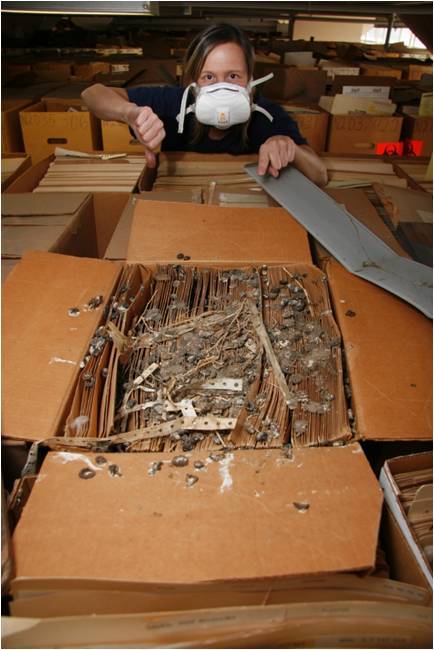 Preservation at the National Archives • When Records Get Dirty Over the past four years,...