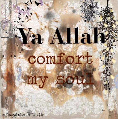 Comfort My Soul Best Islamic Quotes Resource Online