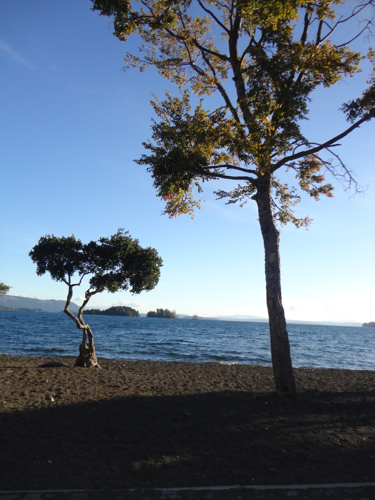 Lican Ray, Chile - the carrousel never stops turning