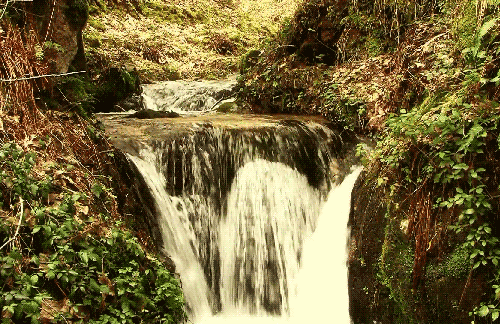 farcry primal waterfall gif