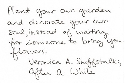 Veronica A Shoffstall Tumblr