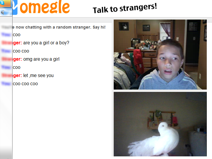 Omegle Talk To Strangers Facecam