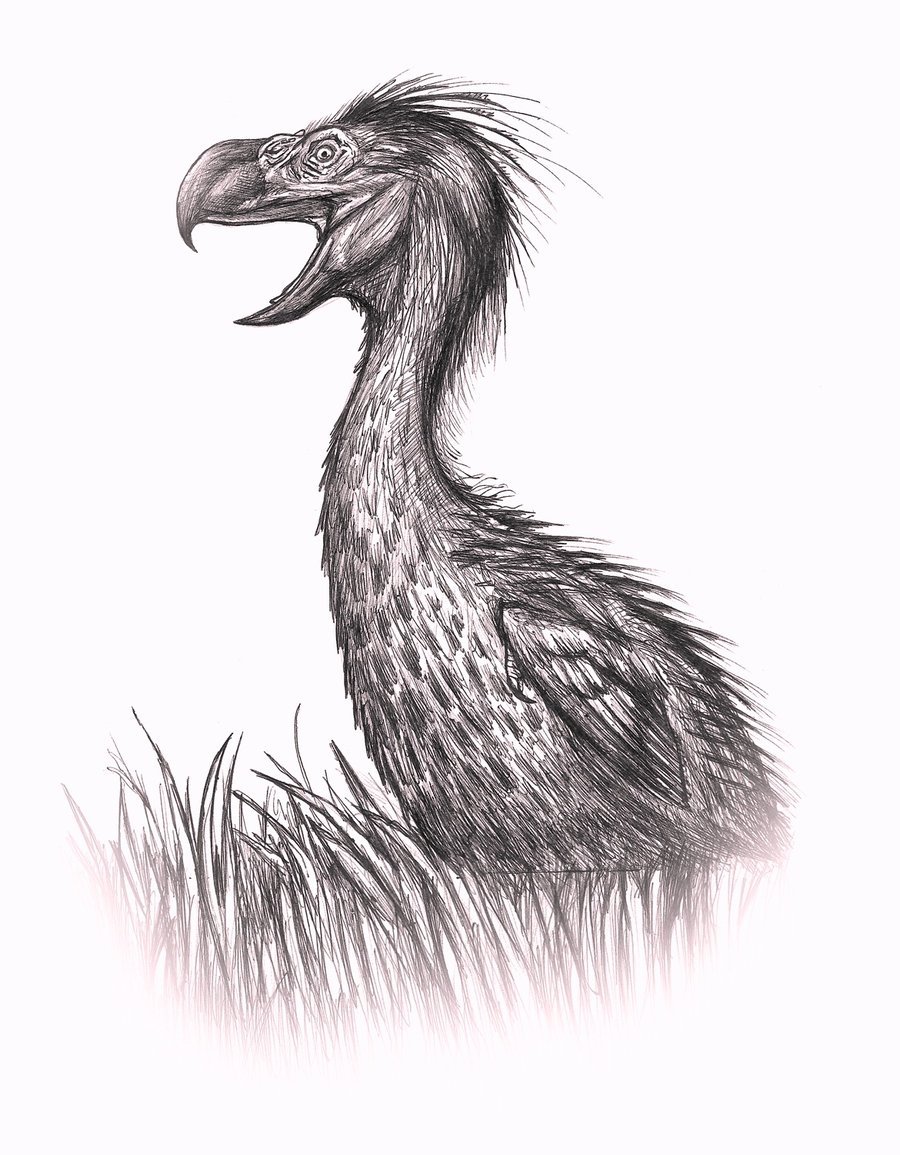 Фороракос (птица- террорист)