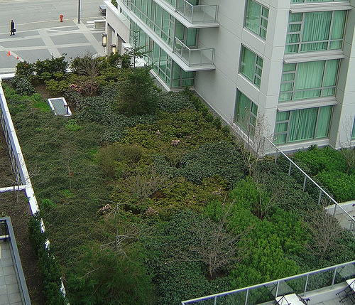 Tumblr Photo