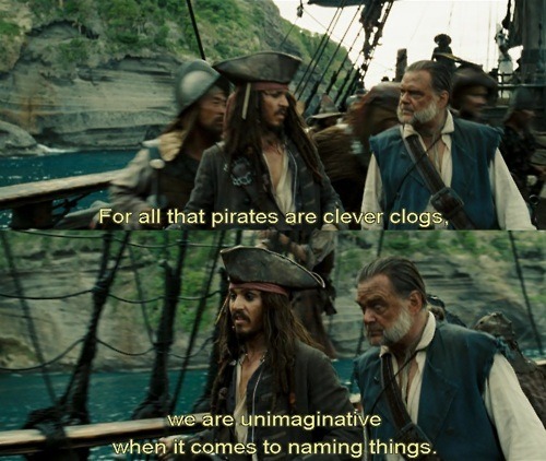 Pirates Quotes