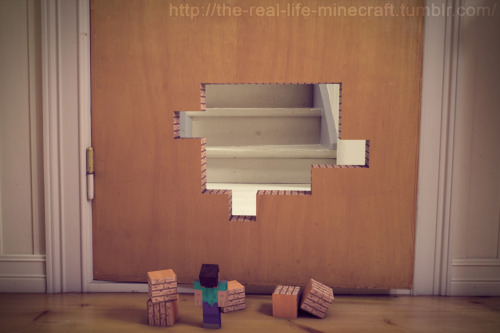 Stupid creeper ruined the door.