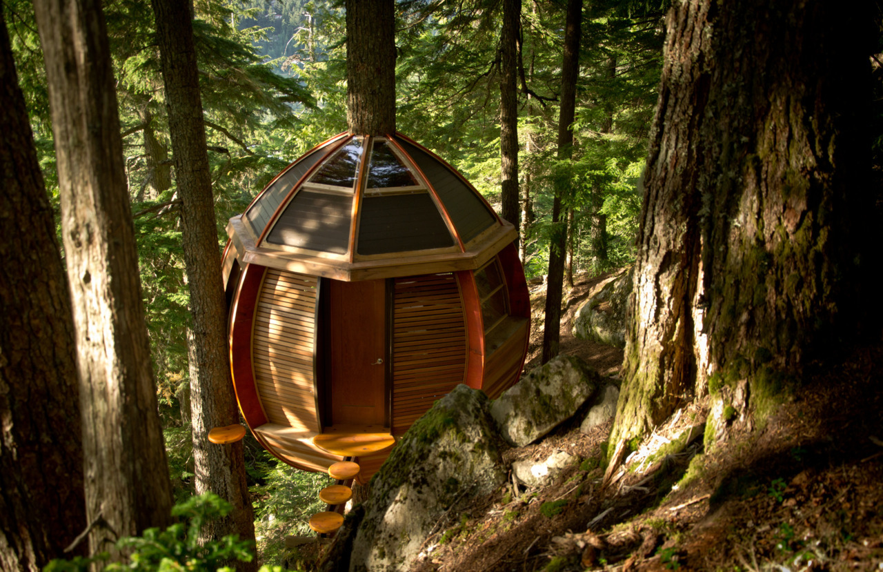 Cabin Porn â€“ A treehouse in the woods near Whistler, British...