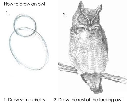 owls drawing drawing tutorials funny