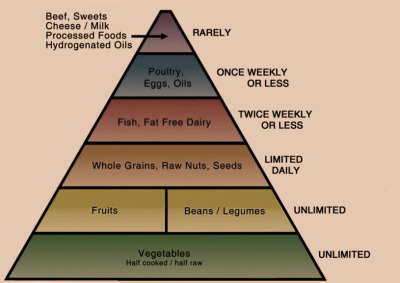 Dr Fuhrman Nutrient Density Chart