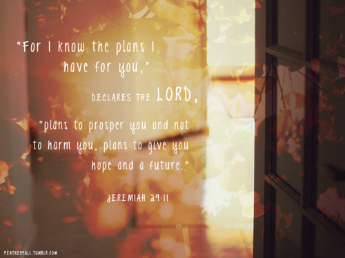 jeremiah 29:11 on Tumblr