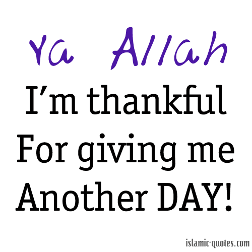 Thank You Allah Best Islamic Quotes Resource Online